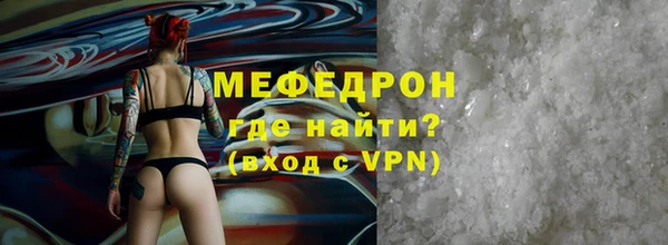 индика Богородицк