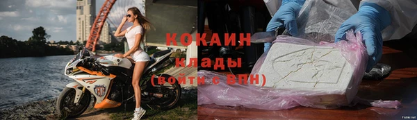 стаф Богородск