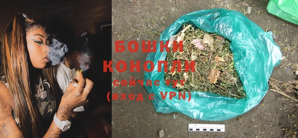 стаф Бородино