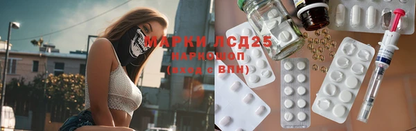 индика Богородицк