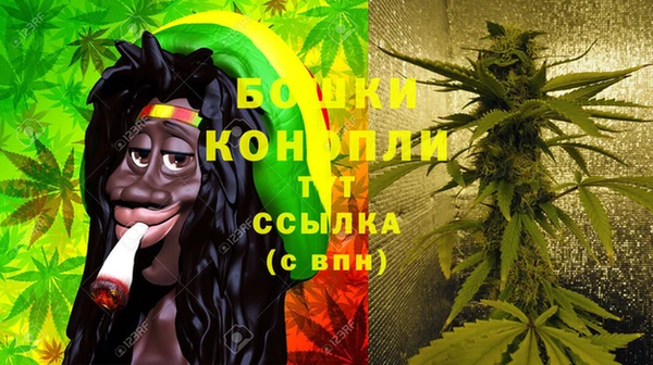 индика Богородицк