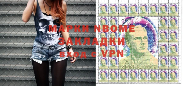 индика Богородицк
