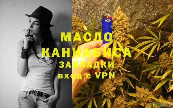 индика Богородицк
