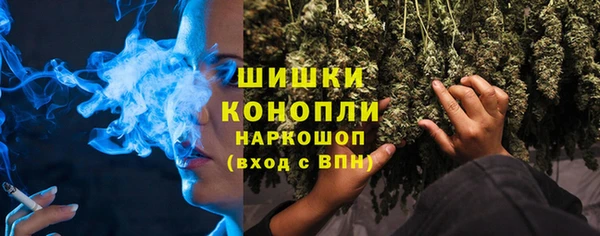 стаф Богородск