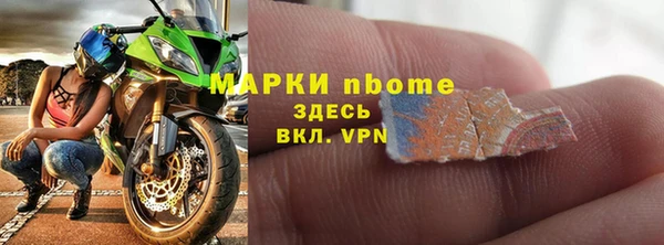 индика Богородицк