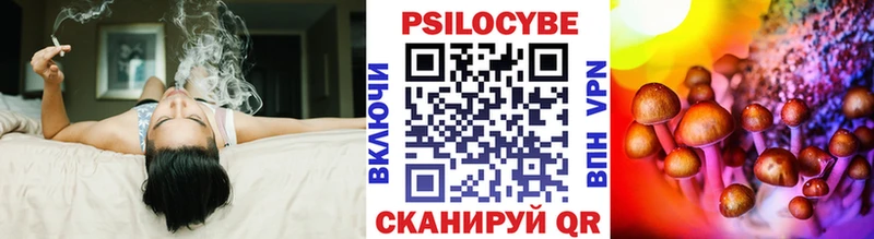 kraken как войти Семикаракорск Галлюциногенные грибы мицелий